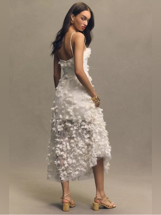 Anthropologie Dresses & Skirts - Helsi
Audrey Square-Neck Floral Appliqué Sheer Midi Dress Anthropologie BHLDN